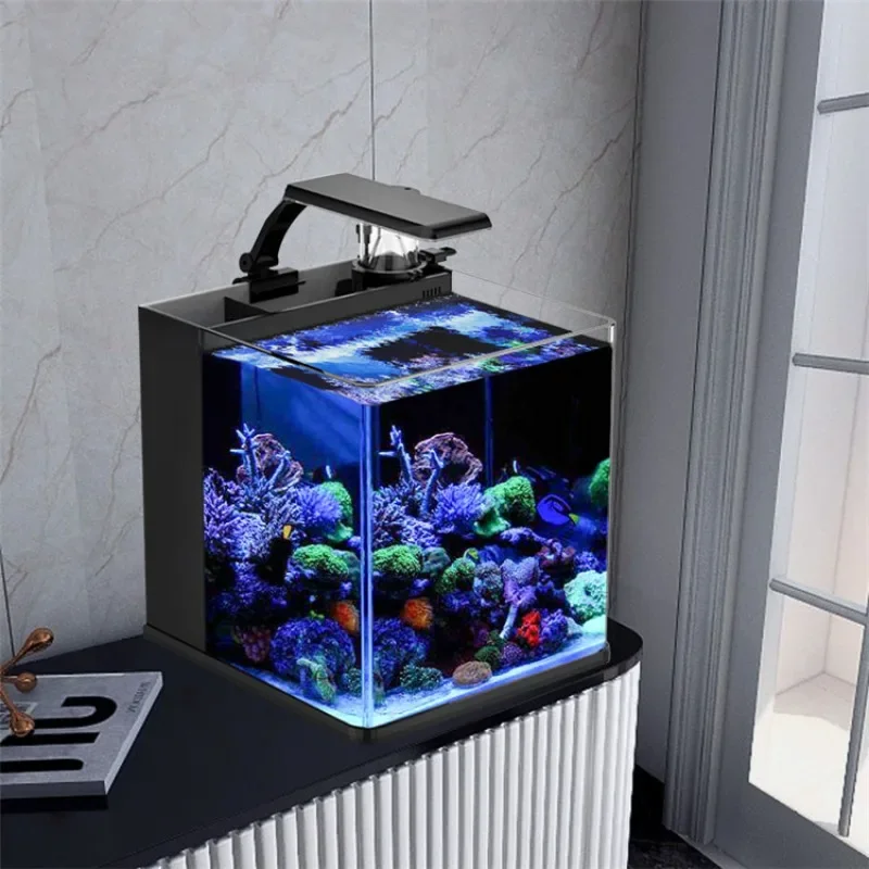 Aquarium Marine Fish For Sale - 超クリアガラス製ミニ海水魚水槽（海水魚用）大特価販売中