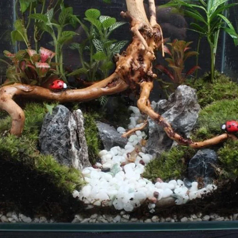 水族館、魚のタンク、爬虫類の根の植物、木の装飾、装飾アクセサ - Marine Aquarium All In One のレビューと価格