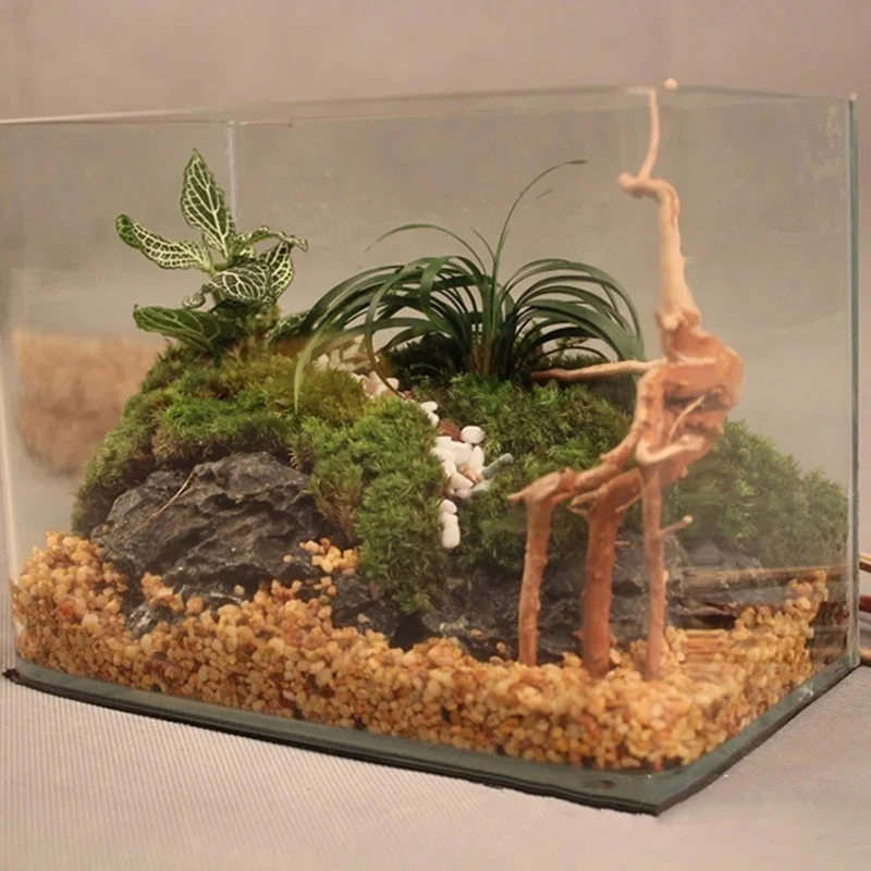 水族館、魚のタンク、爬虫類の根の植物、木の装飾、装飾アクセサ - Marine Aquarium All In One のレビューと価格