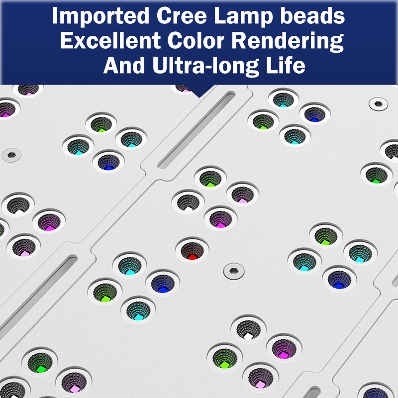 ホットKASSRAY T169/T215 CREEs LED - Aquarium Marine のレビューと価格