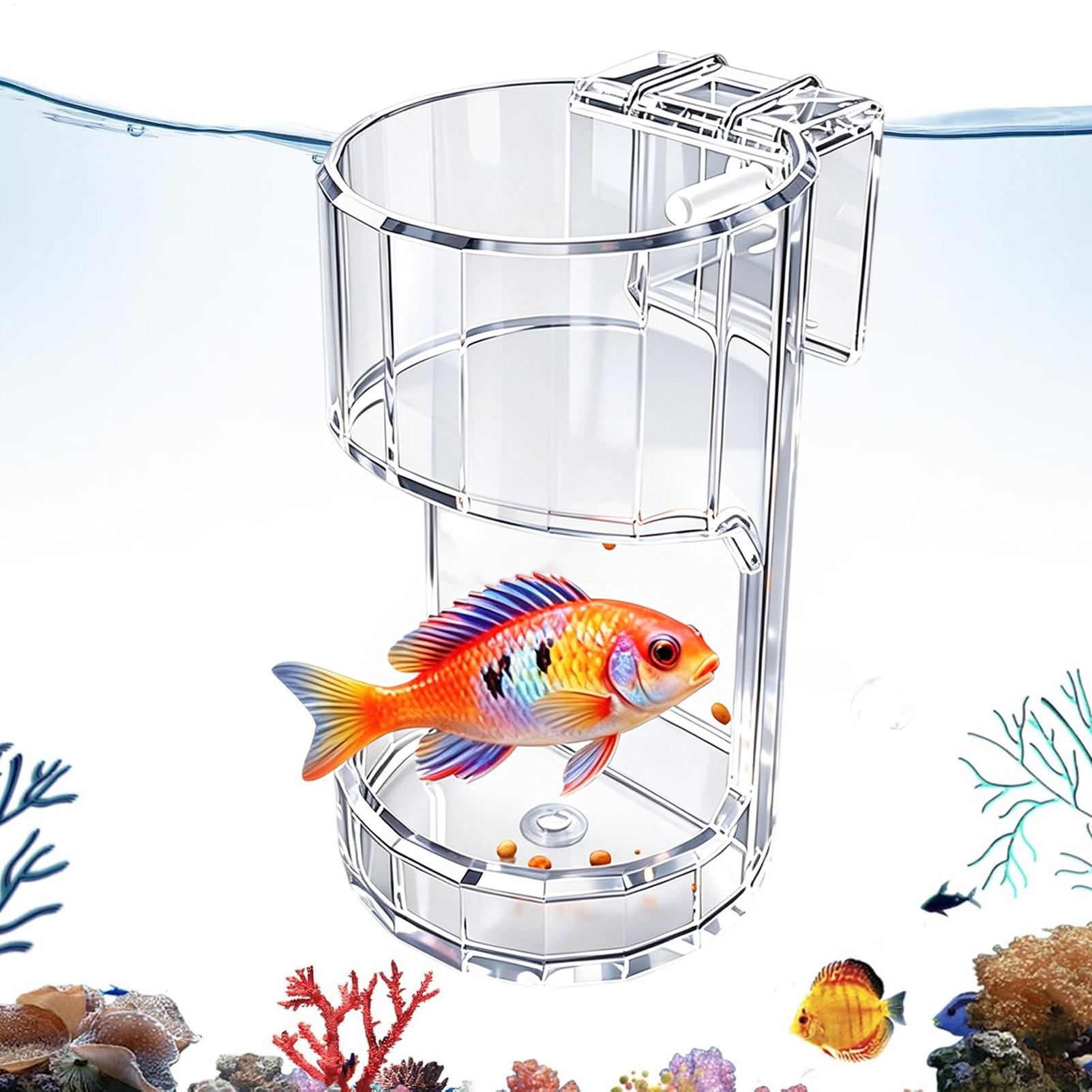水族館給餌皿透明フードボウルホルダーコンテナ水族館魚フィーダ - Marine Aquarium Live のレビューと価格