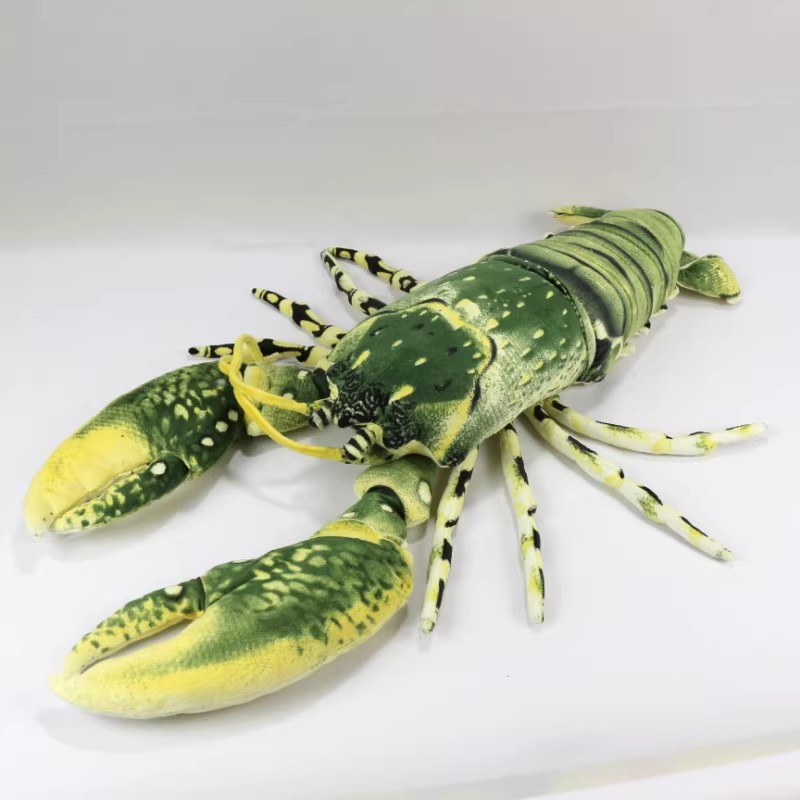 シミュレートされた動物オーストラリアのイセエビホマルス・アメ - Aquarium Marine Park のレビューと価格