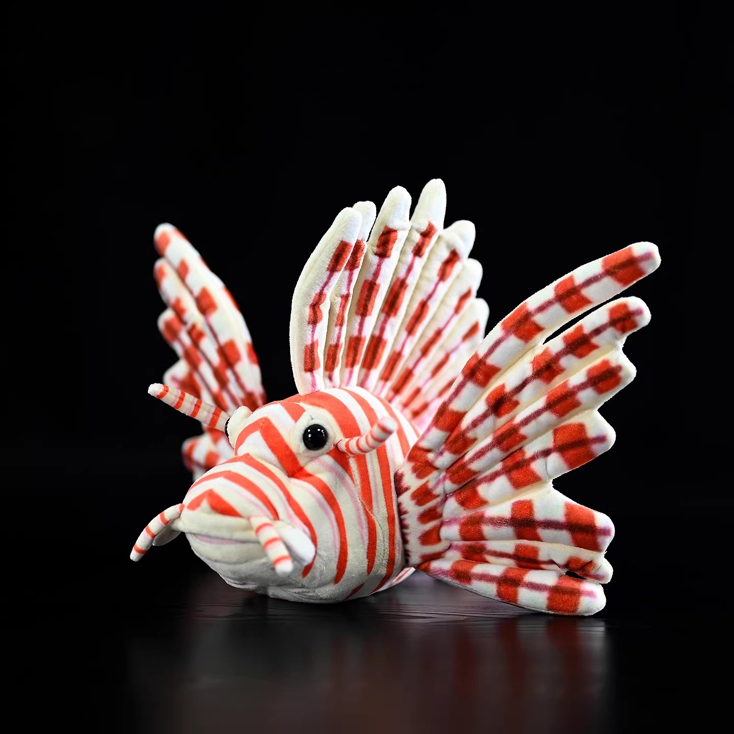 プテロイズ・ボリタンス サンゴ礁魚 海 海洋 海洋水族館 水 - Aquarium Marine Park のレビューと価格