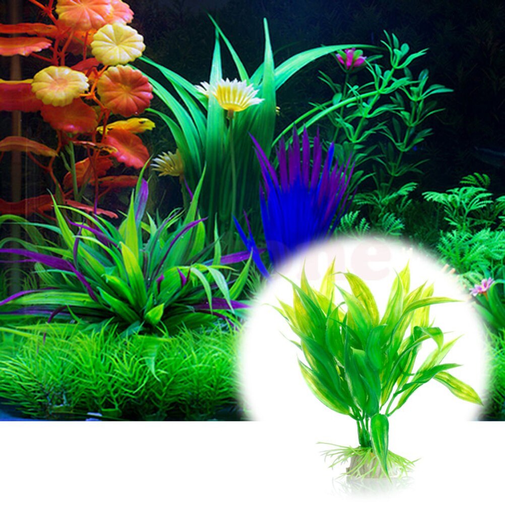15 センチメートル人工水族館の装飾植物水雑草飾り水生植物水 - Marine Aquarium All In One のレビューと価格