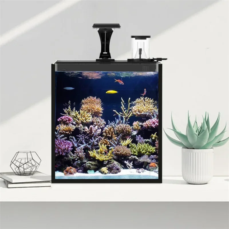 超クリアガラス製ミニ海水魚水槽（海水魚用）大特価販売中 - Aquarium Marine Fish For Sale のレビューと価格