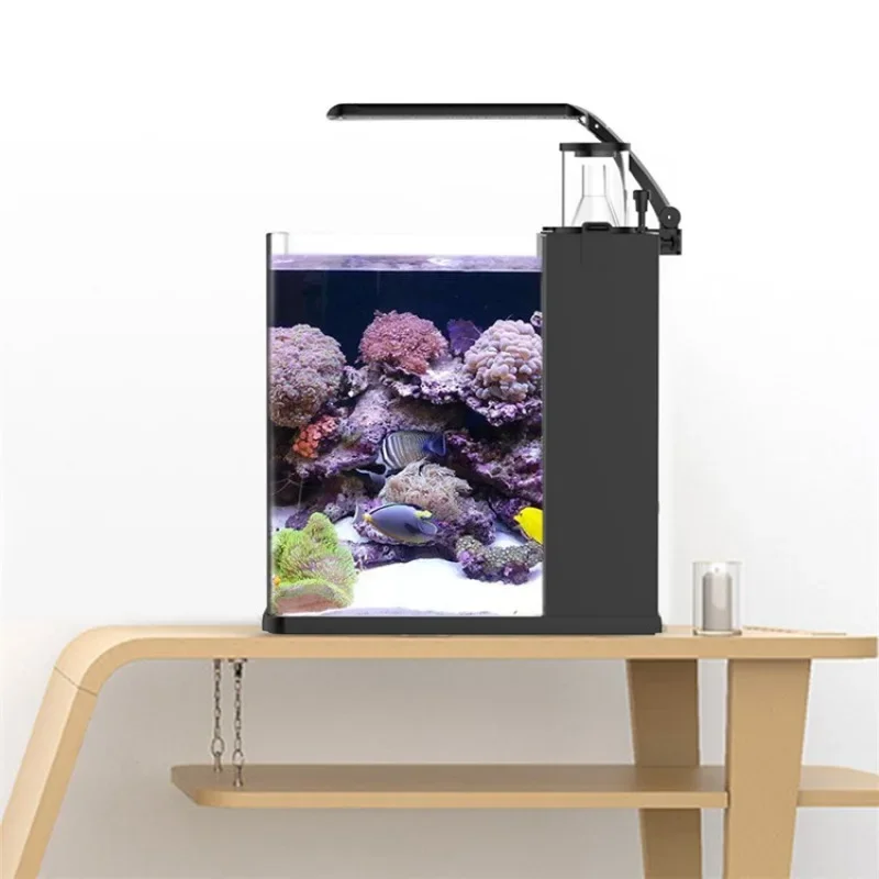 超クリアガラス製ミニ海水魚水槽（海水魚用）大特価販売中 - Aquarium Marine Fish For Sale のレビューと価格