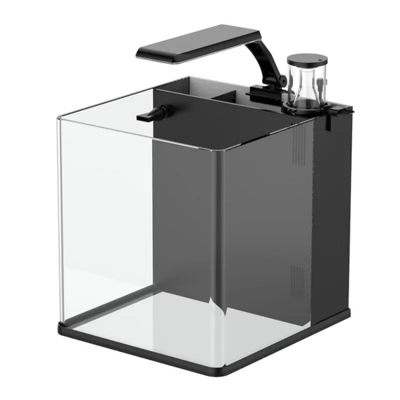 超クリアガラス製ミニ海水魚水槽（海水魚用）大特価販売中 - Aquarium Marine Fish For Sale のレビューと価格
