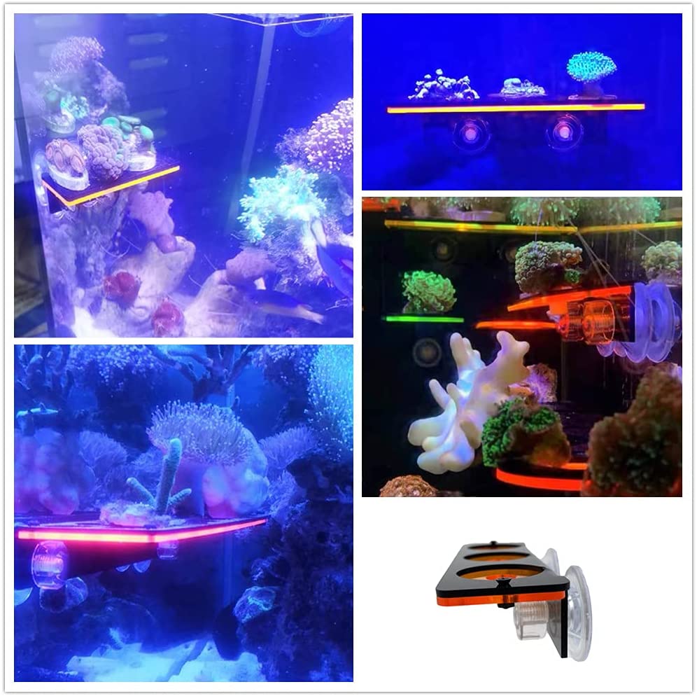 蛍光サンゴフラグプラグブラケット成長ホルダーアクリルラックマ - Marine Aquarium All In One のレビューと価格