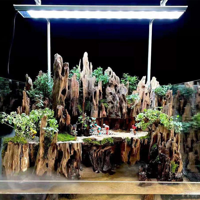 △   エビの木製水槽装飾品、天然の穴が付いた水槽用の流木水 - Marine Aquarium All In One のレビューと価格