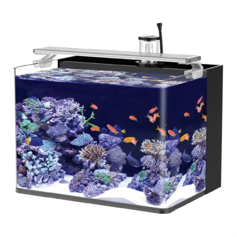 テーブル型湾曲海水魚水槽、リビングルーム、寝室、オフィス用照 - Marine Aquarium Live のレビューと価格